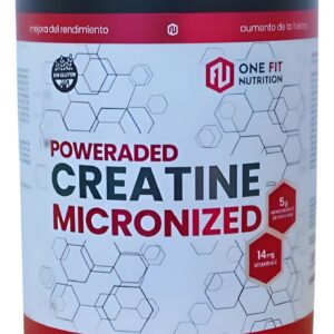 Creatina Onefit 500g